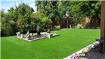 Luxury Lawns AGS  Gallery Thumbnail