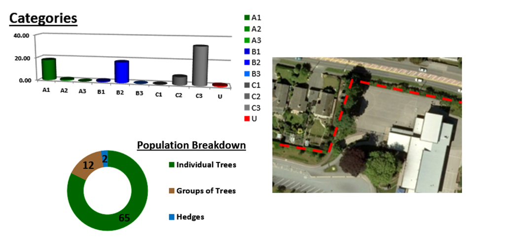 BS5837 Tree survey data Gallery Image