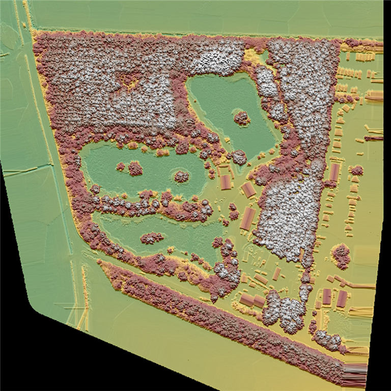 Drone survey: Digital Surface Model Gallery Image