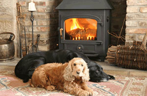 Stanegate Stoves & Cookers Image