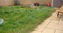 Artificial Grass Warwickshire Ltd Image